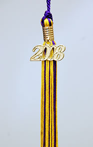 Middle School Tassel 2009