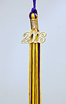 Middle School Tassel 2009