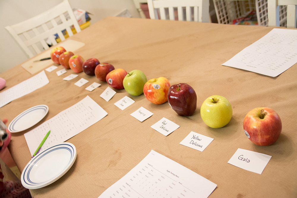 Jessica's kids taste-test various types of apples and record their findings! 