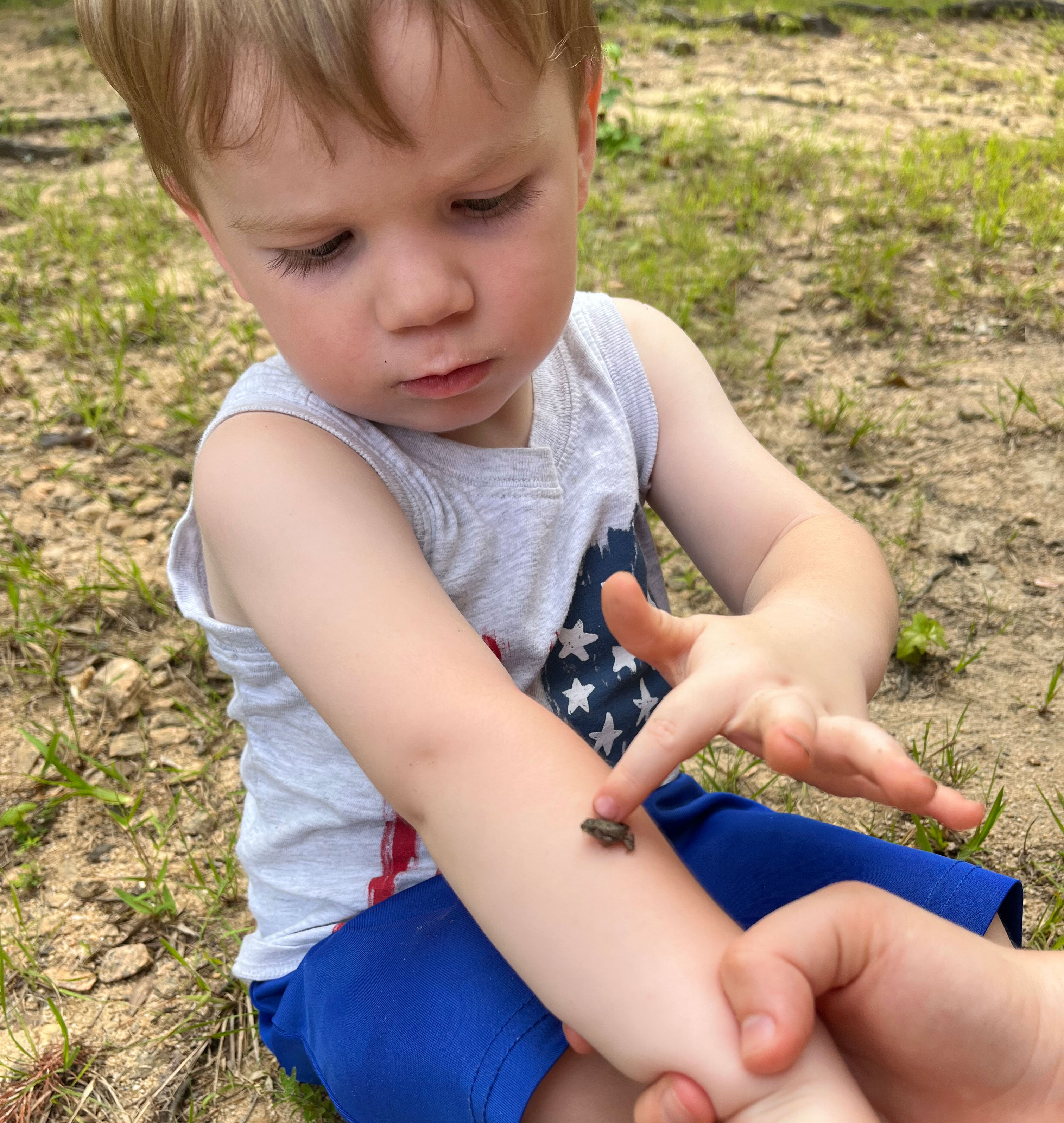 Little boy with a baby toad on his arm.