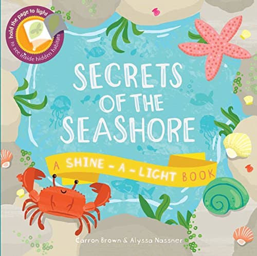 Secrets of the Seashore by Carron Brown and Alyssa Nassner