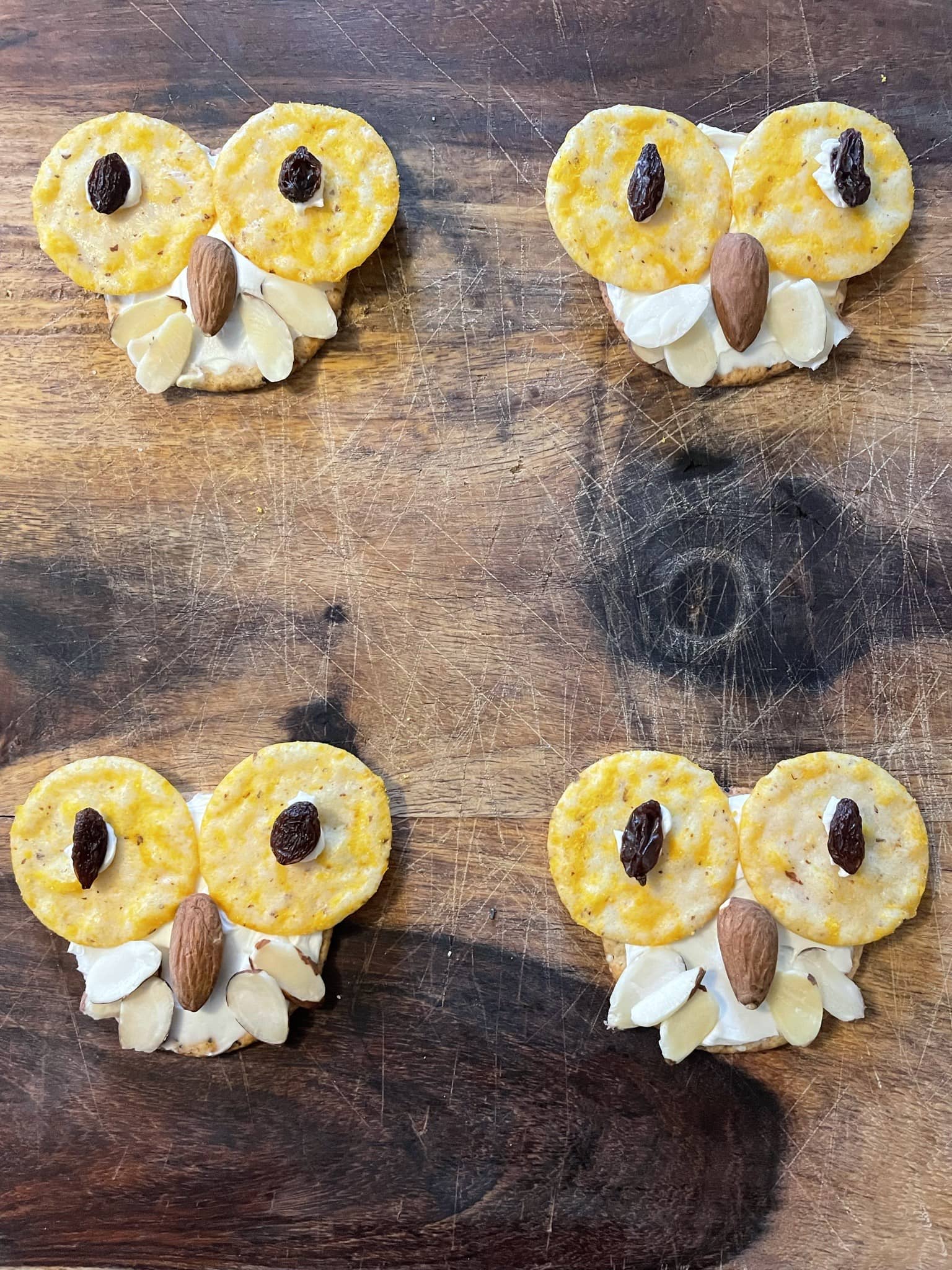 Owl snacks