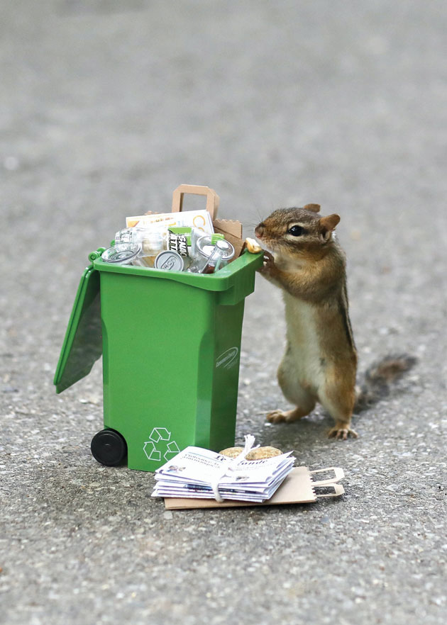 Chippy Reminds Us to Always Recycle