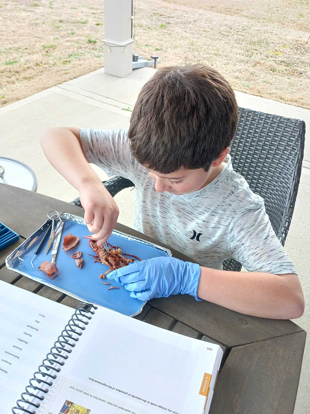 Caden dissecting a crayfish